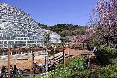Moriyama Ward, Nagoya