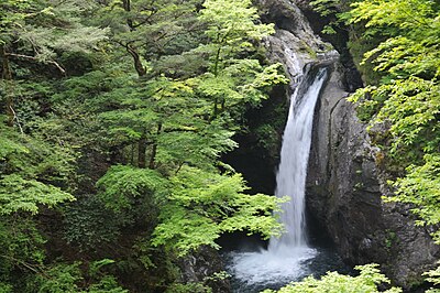 那賀町
