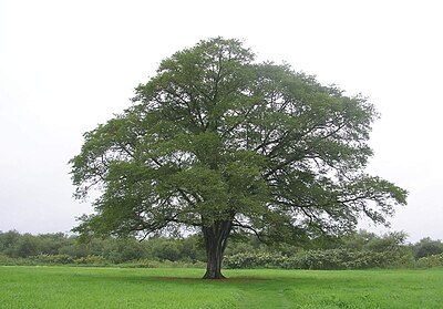 豊頃町