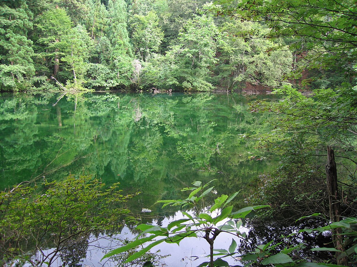 津南町