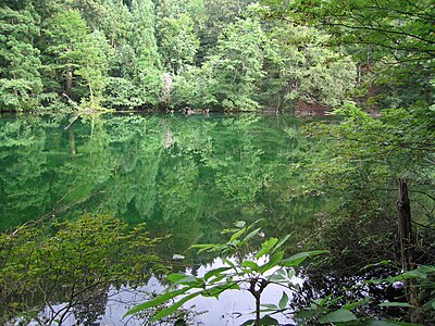 津南町