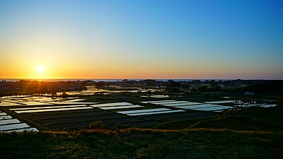 にかほ市