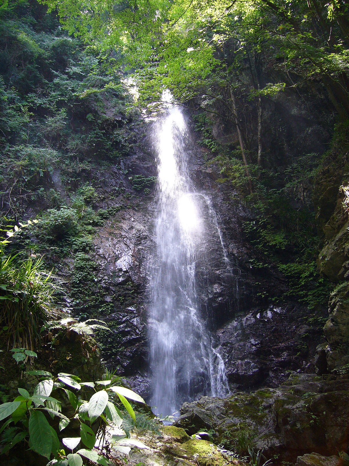 Hinohara