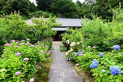 幸田町