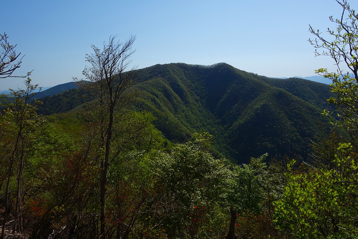 伯母子岳