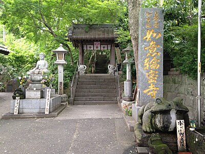 Ogori