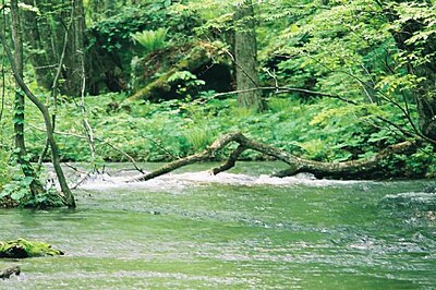 แม่น้ำโออิราเซะ