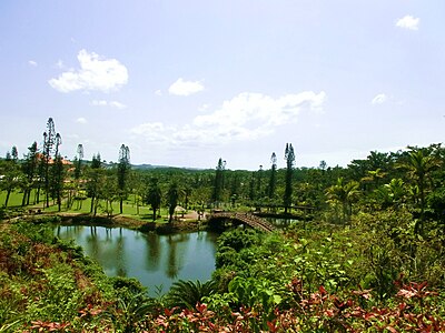 Okinawa