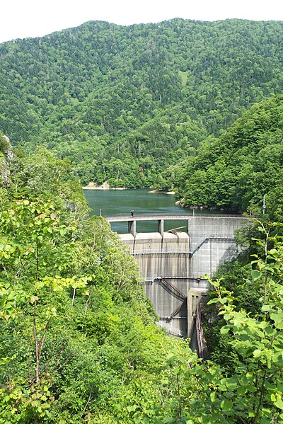 奧新冠發電廠