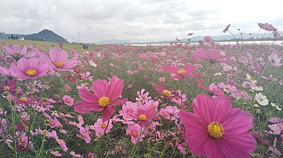 水巻町