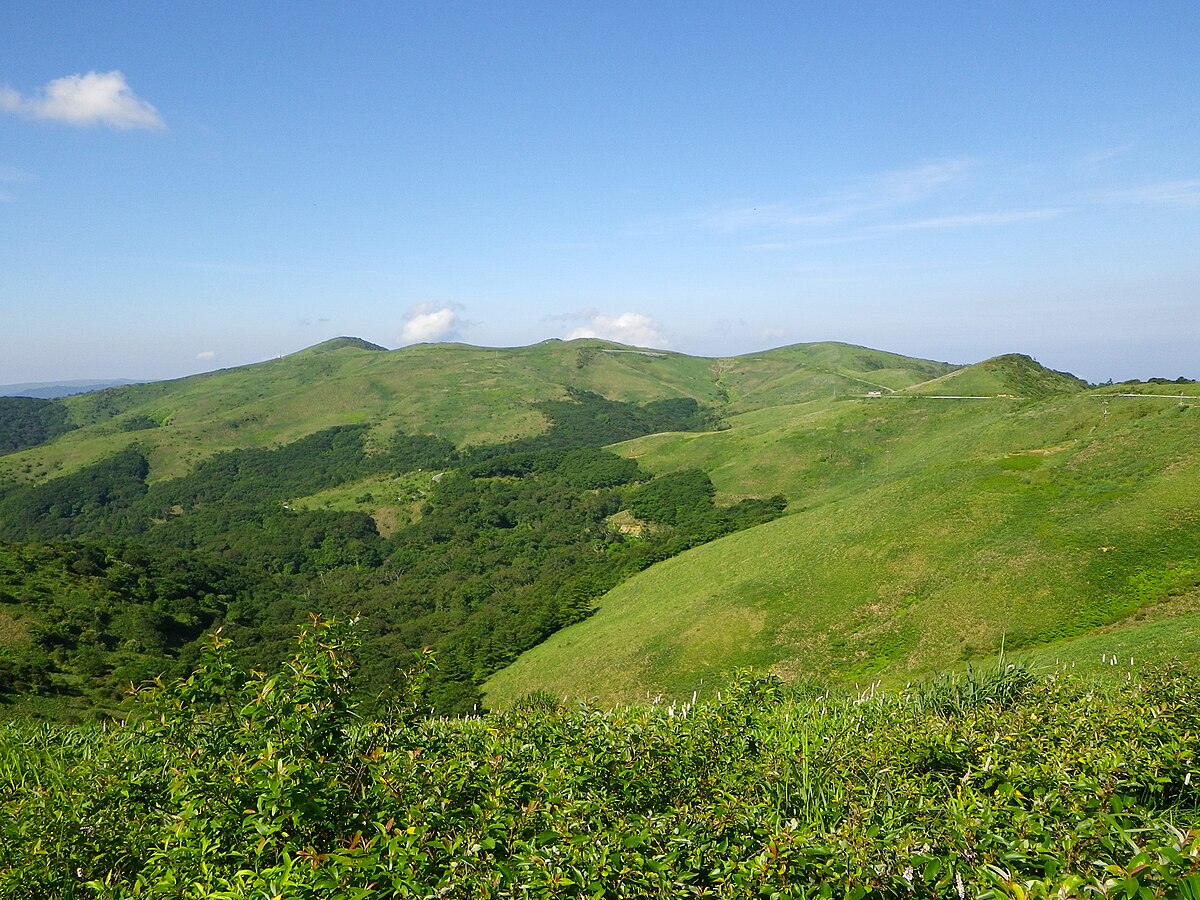 大川岭
