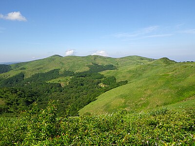 大川嶺