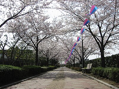 明和町