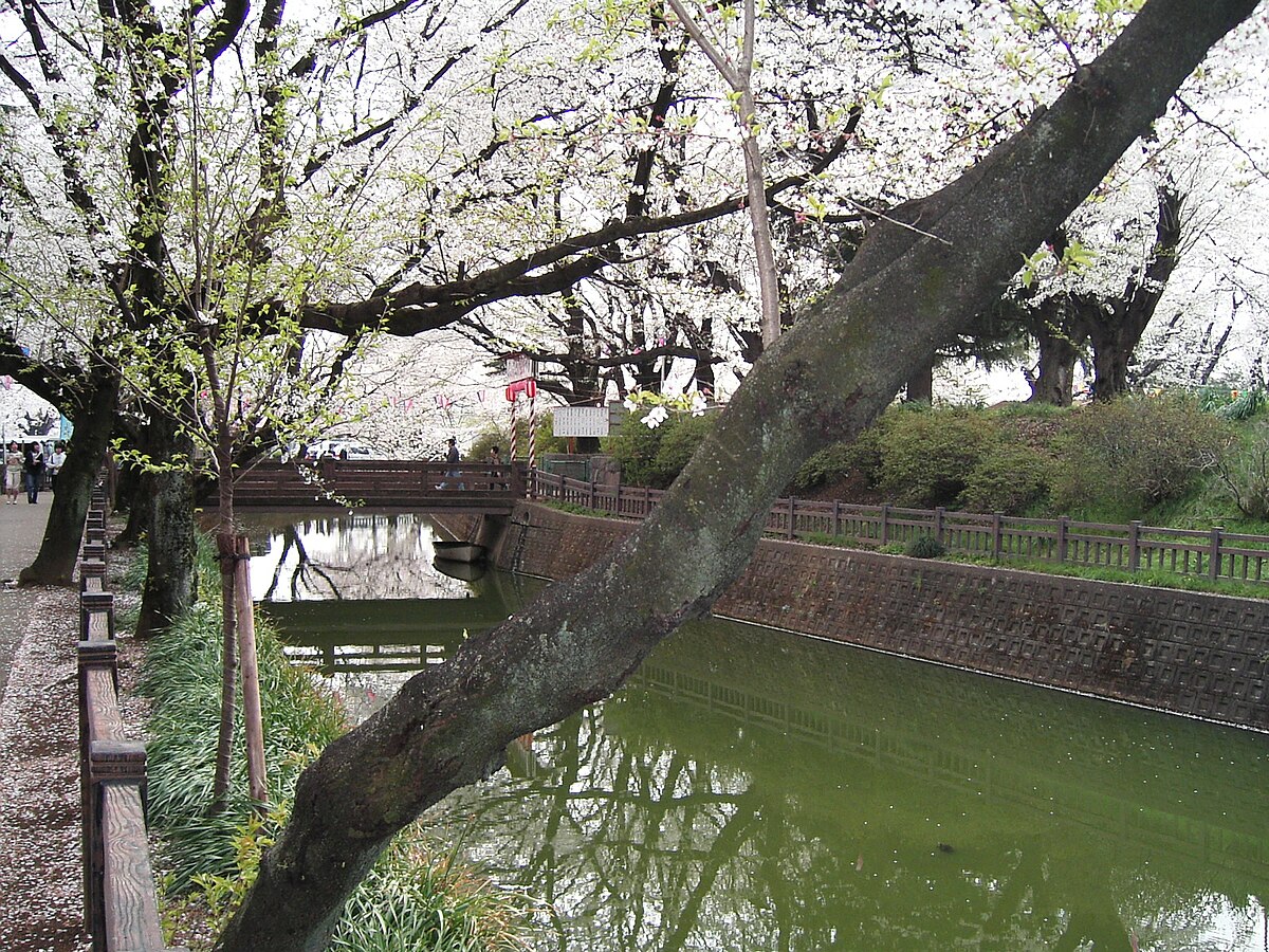 Oizumi