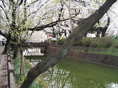 大泉町