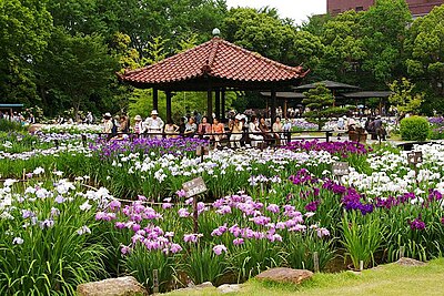 Asahi Ward, Osaka