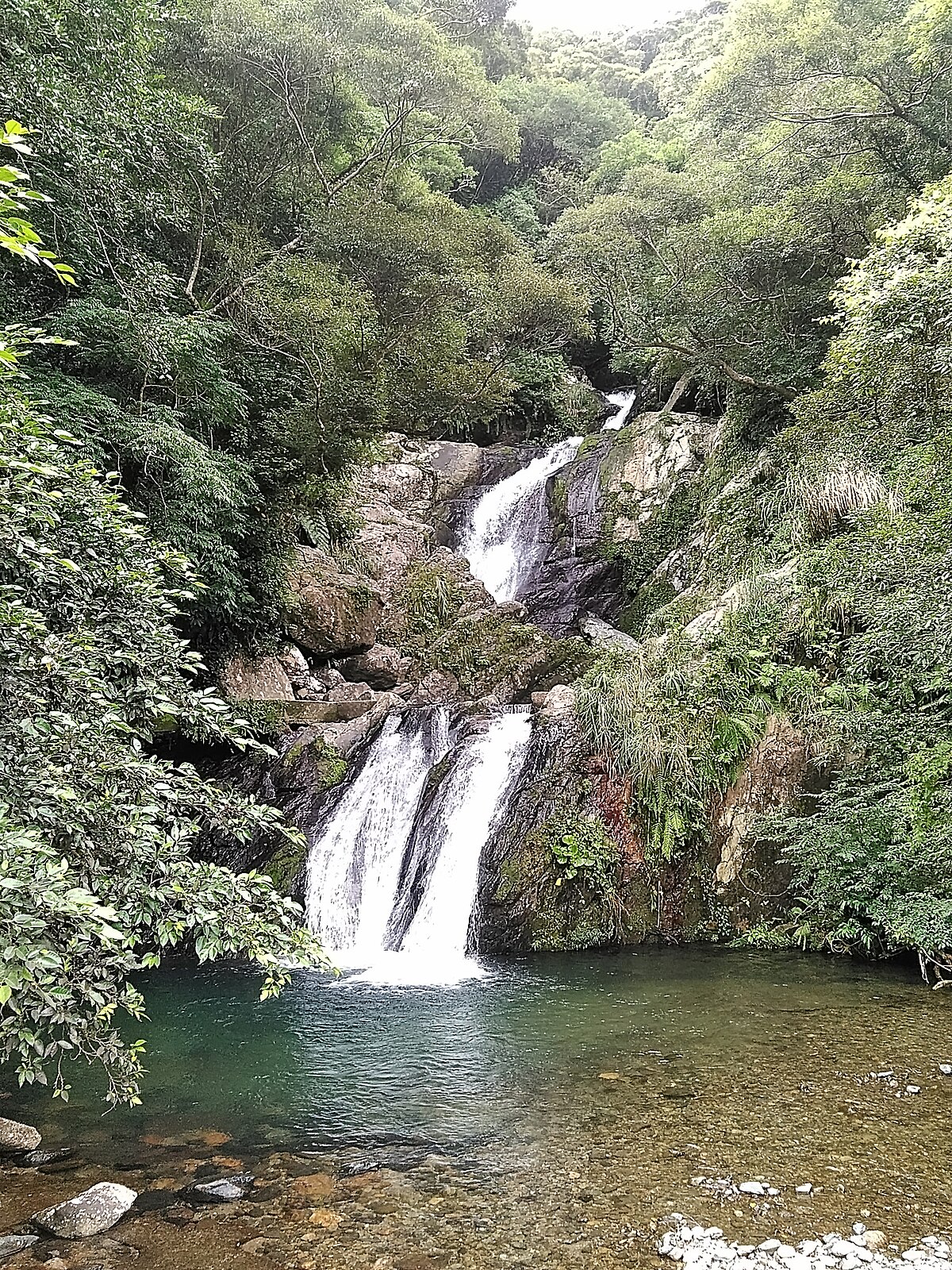 宇検村
