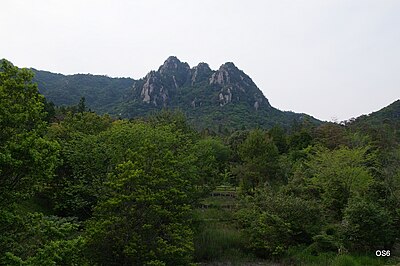 大竹市