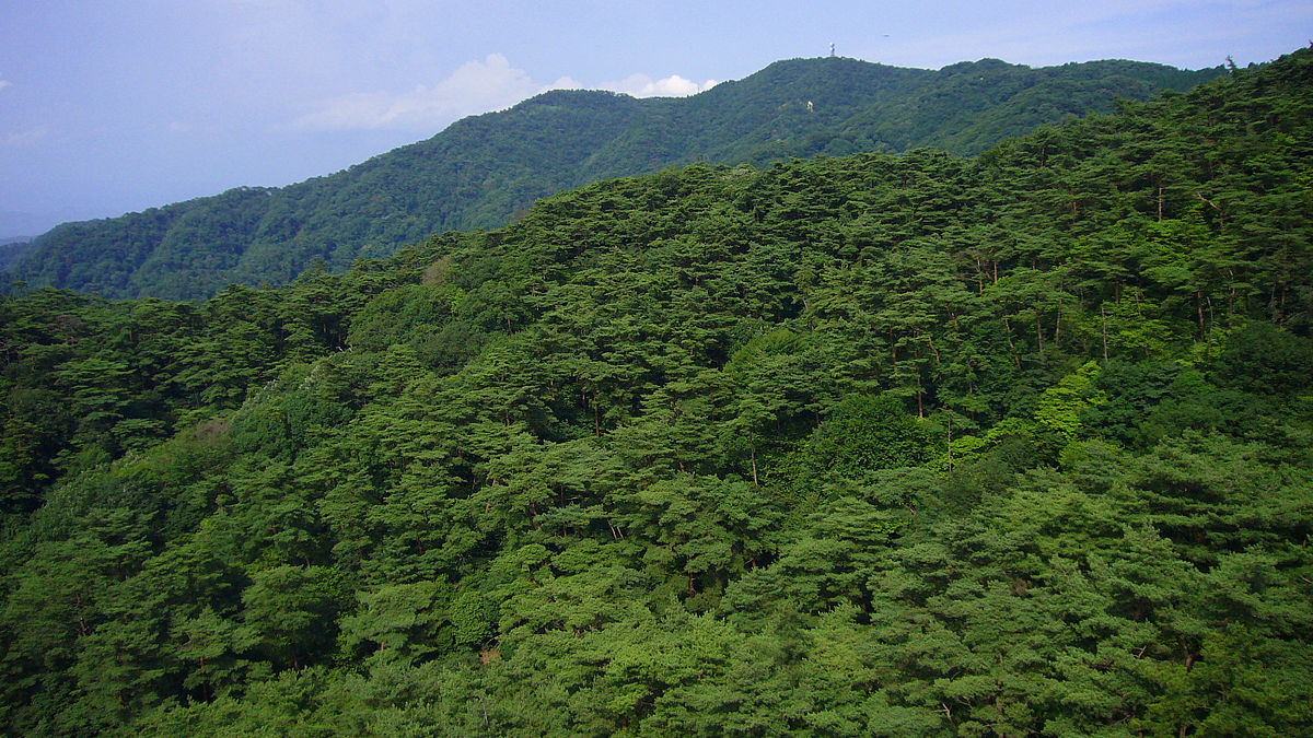 롯코산