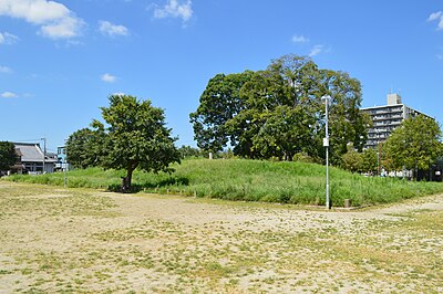 Sai-ji