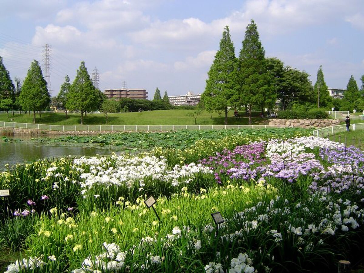堺市東区