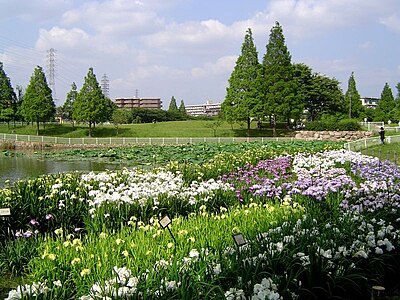 Higashi Ward, Sakai