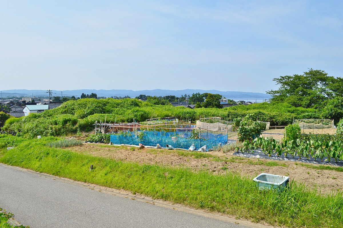 樱谷古坟
