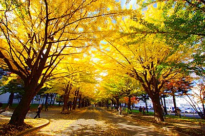 札幌市北区