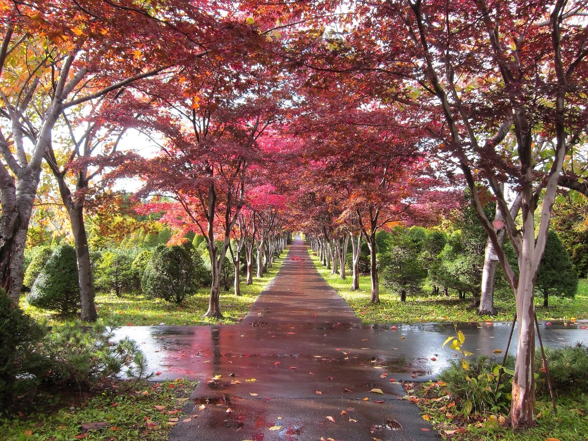 Kiyota Ward, Sapporo