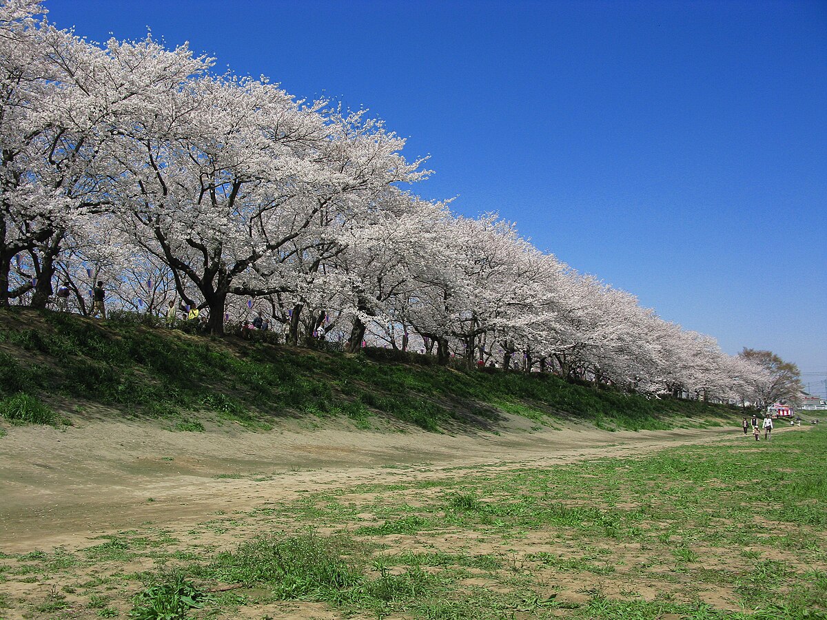幸手市
