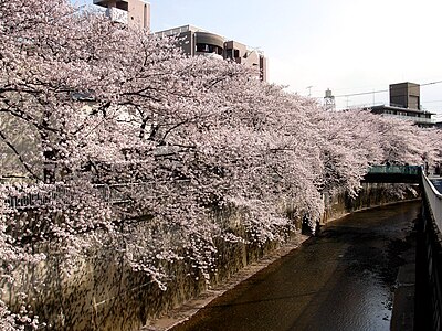 石神井川