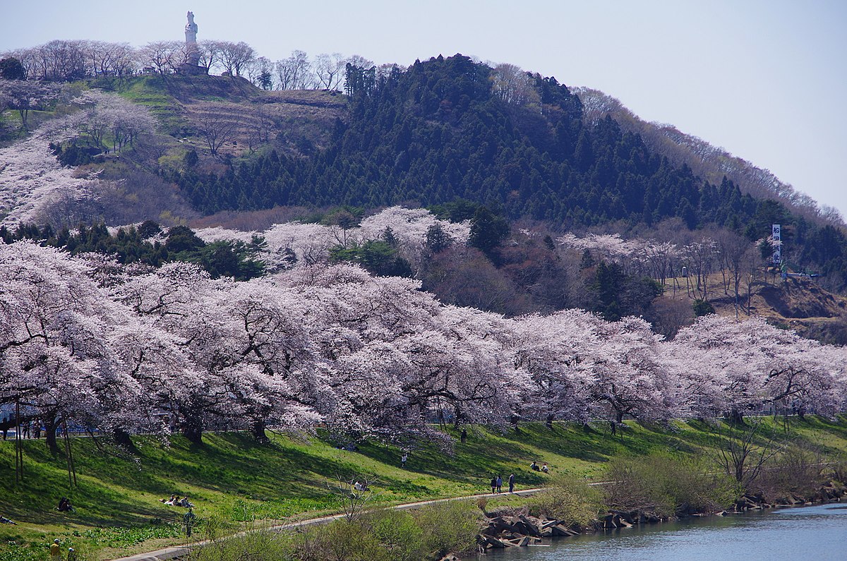 柴田町