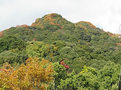信贵山