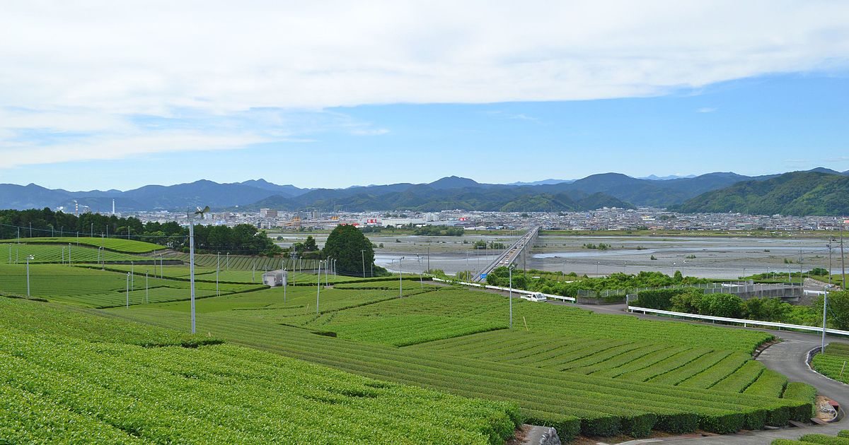 Shimada