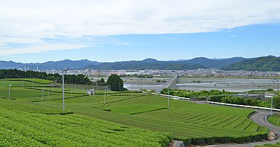 島田市