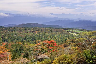 根羽村