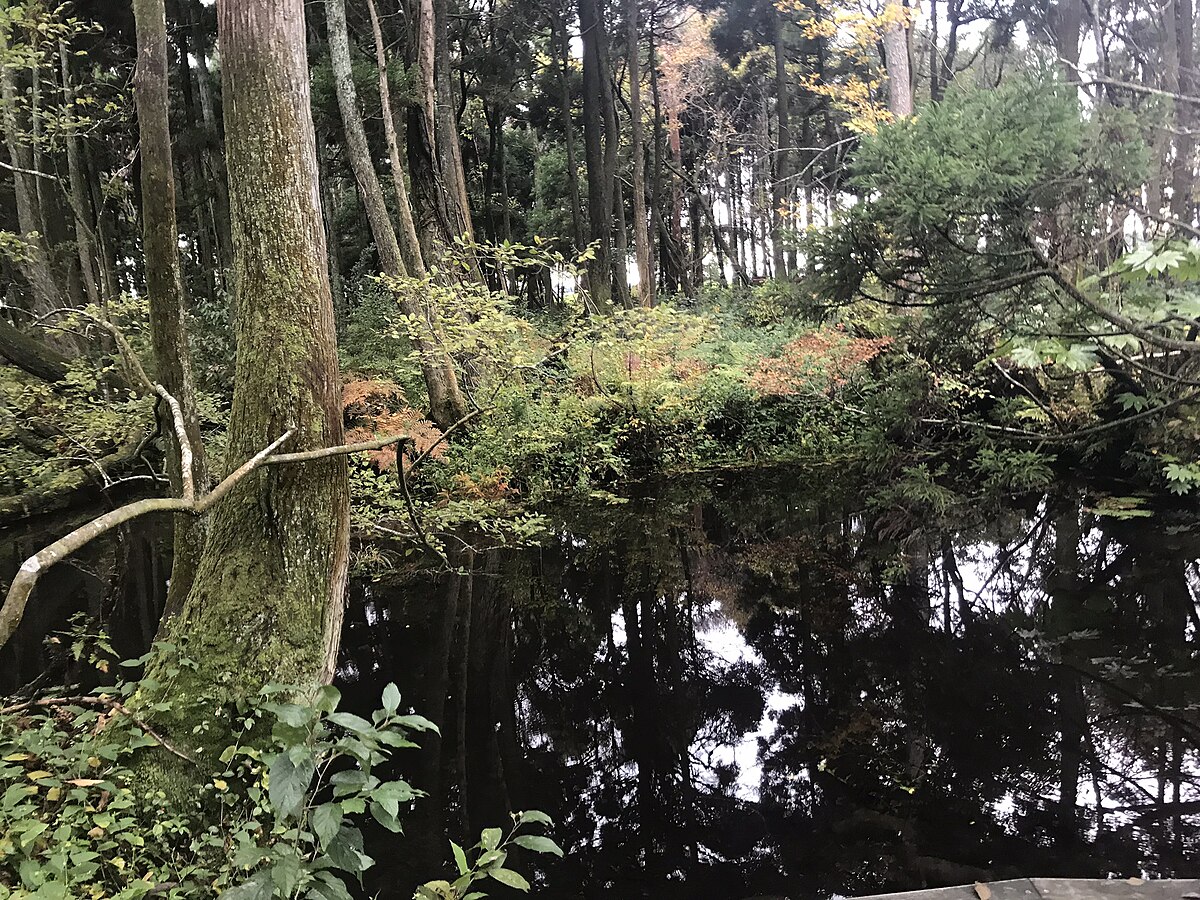 Nyuzen