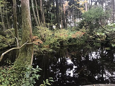 入善町