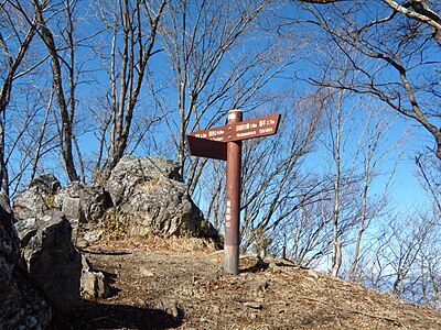 蕎麥粒山
