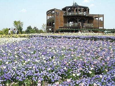 庄原市