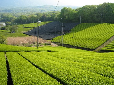 Minamiyamashiro