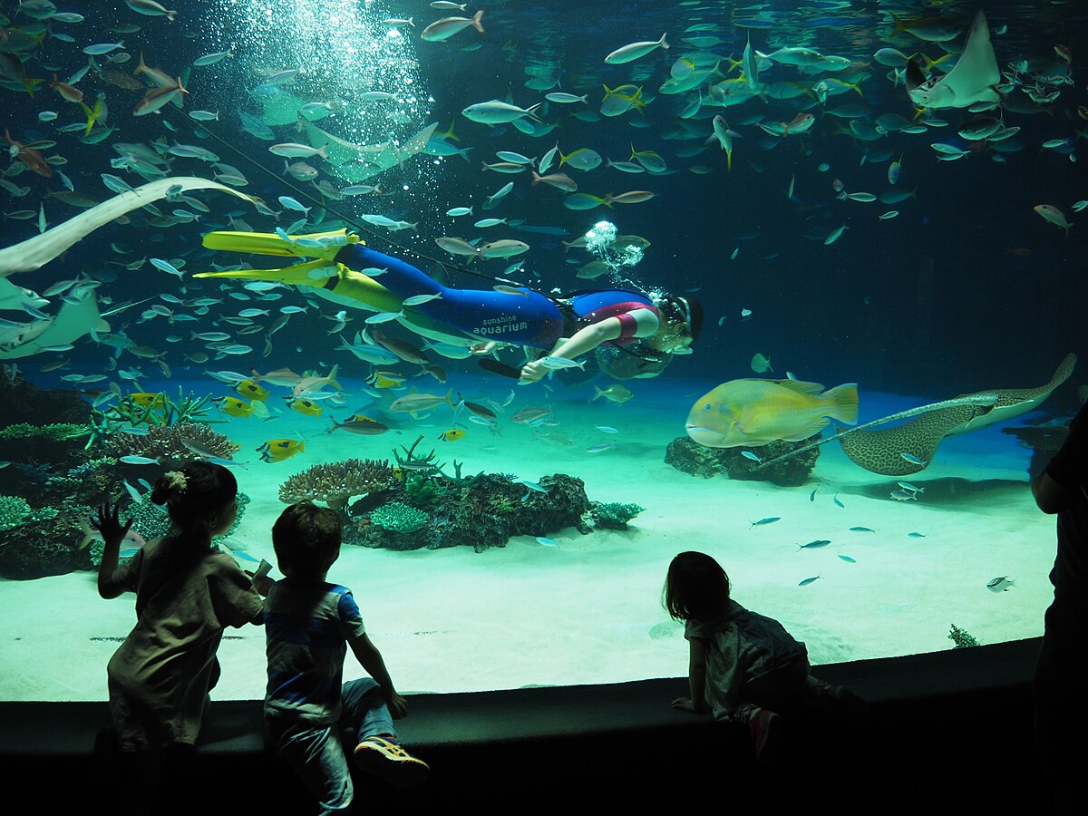 陽光城水族館