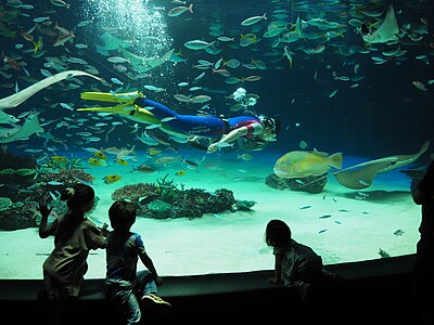 サンシャイン水族館