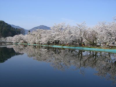 Suzaka