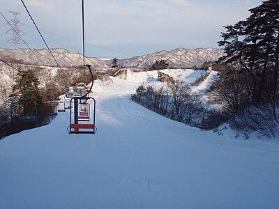 Tainai