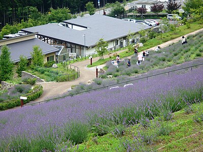多可町