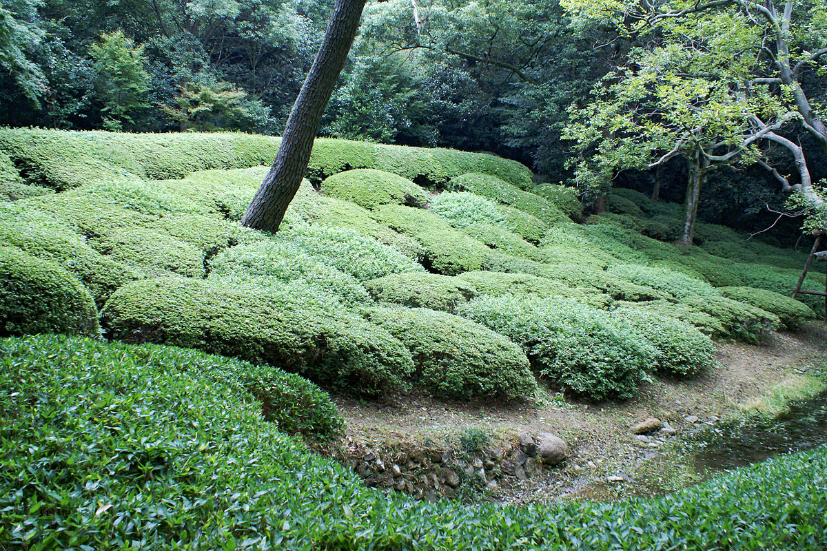 高松市