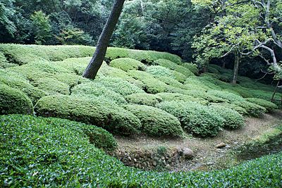 高松市