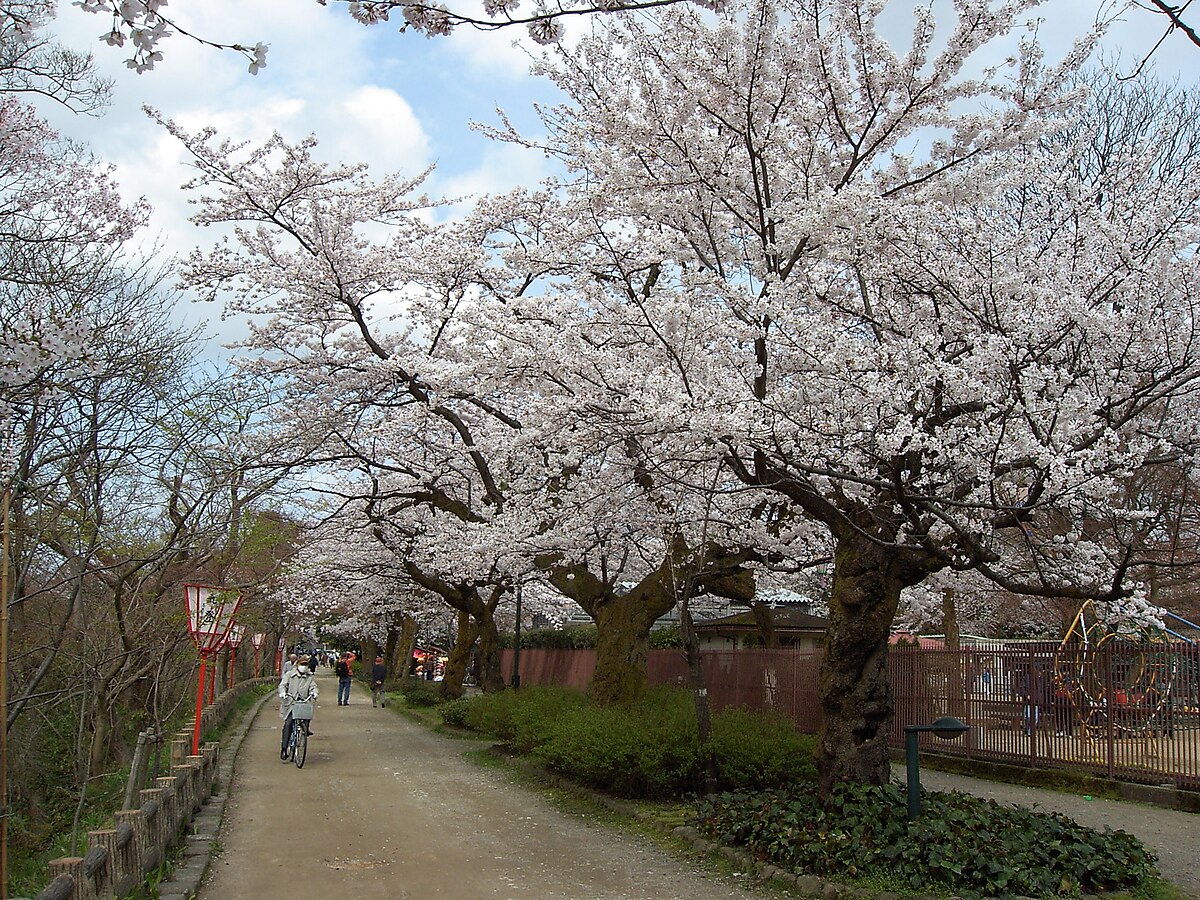 高岡城