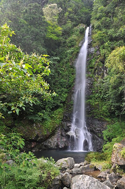 Ochi